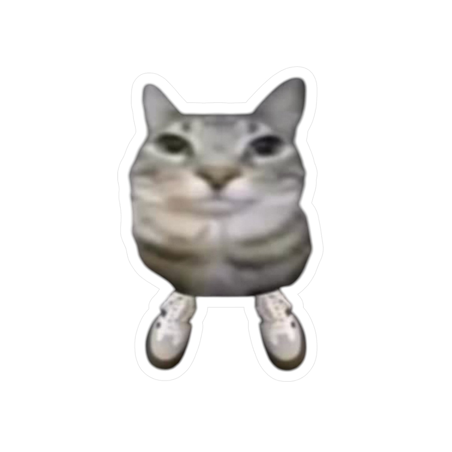 Sneaker cat sticker