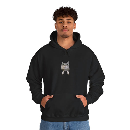 Sneaker cat hoodie (Unisex)